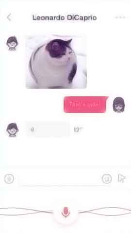 怎么打别人的服务器软件程序维护界面